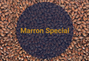 Солод Каштановый Специальный / Marron Special, 270-320 EBC (Soufflet), 1 кг