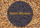 Солод Шато Мелано 80 EBC (Castle Malting), 1 кг.