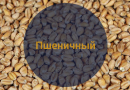 Солод весовой Пшеничный / Malt De Ble, 2-5 EBC (Soufflet)