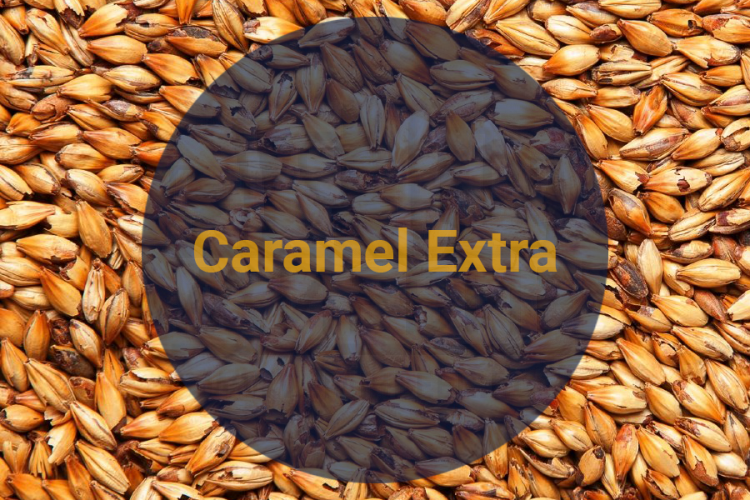 Солод Карамельный Экстра / Caramel Extra, 230-270 EBC (Soufflet), 1 кг.